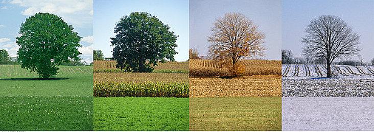 从深海崛起！恐怖生存射击游戏《渊域》DEMO试玩版现已发布！