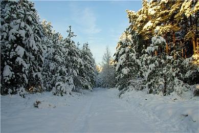 机甲漫画风《迅狼疾步》5月10日登陆Switch